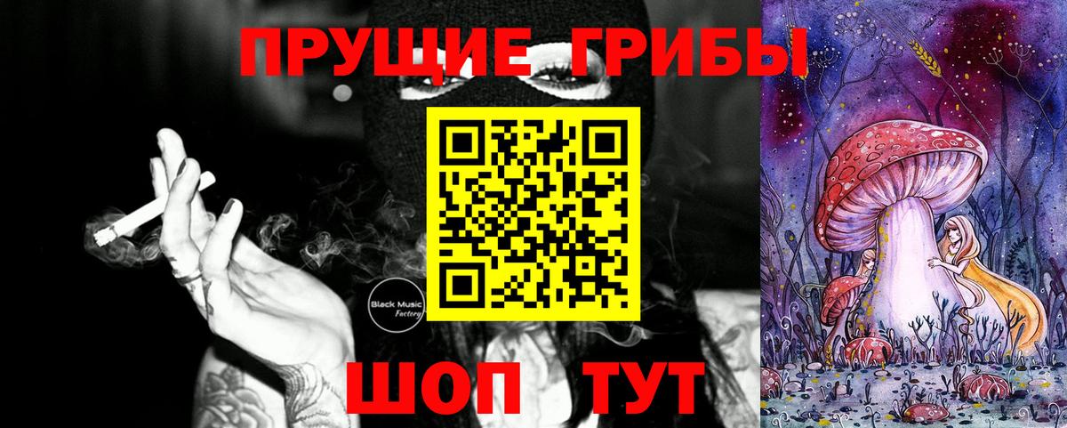 Галлюциногенные грибы Psilocybe Обнинск