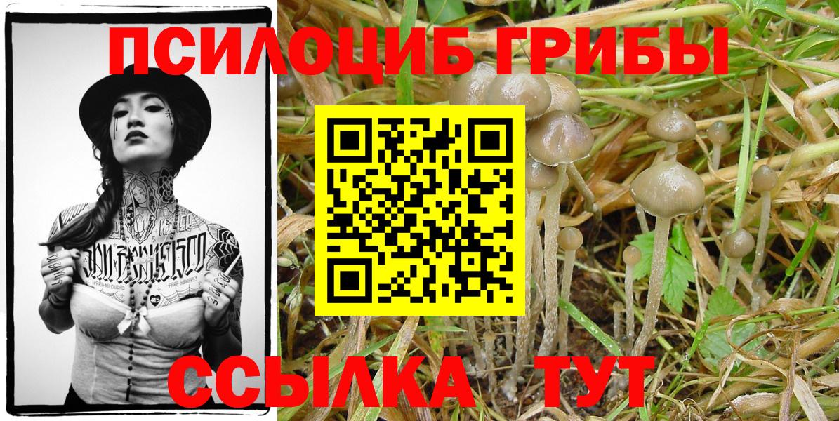 Псилоцибиновые грибы прущие грибы  Галлюциногенные грибы Psilocybine cubensis  Обнинск  Вход с VPN 